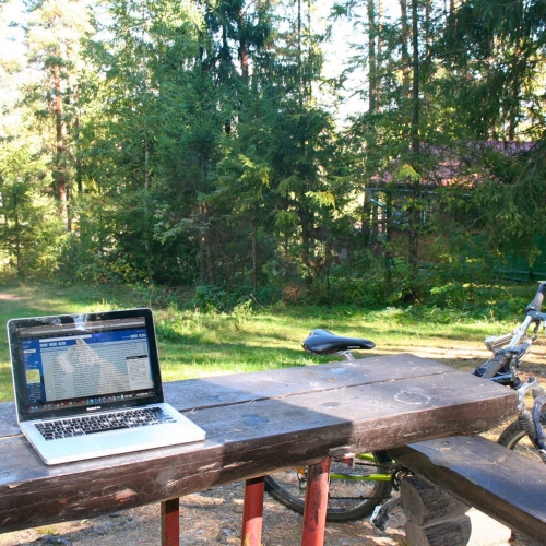 Working place in forest