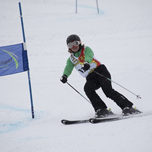Svetlana Belova, giant slalom