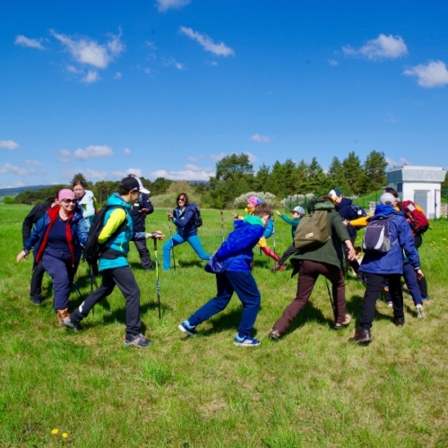 Nordic walking 3