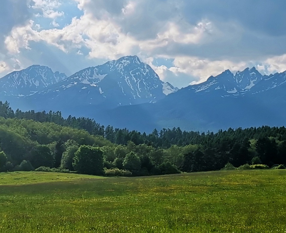 Zážitkovo-poznávacia akcia: Tatranské pramenisko, horský lužný les, mokraď a lúky